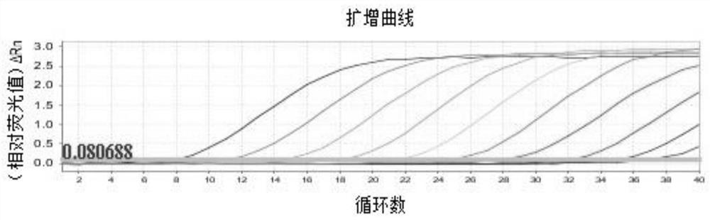 Real-time PCR detection method for human group H rotavirus