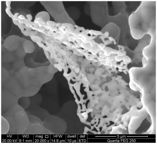 Hierarchical pore structure nickel base alloy and its preparation method and application