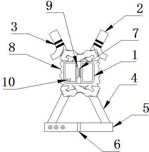 Safety device and method for climbing pole