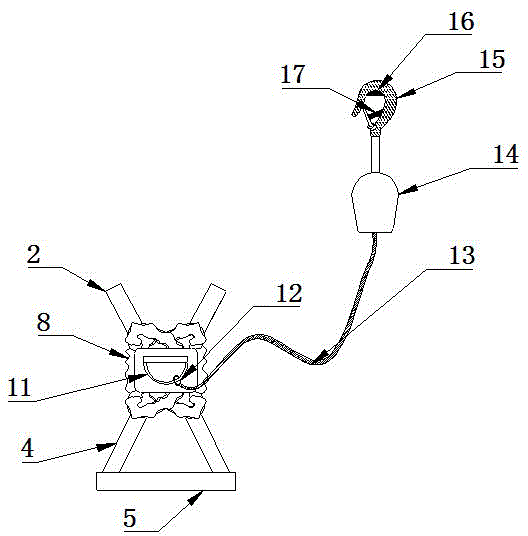 Safety device and method for climbing pole