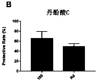 Application of danshinolic acid C in preparing drug for protecting ischemic brain tissue damage