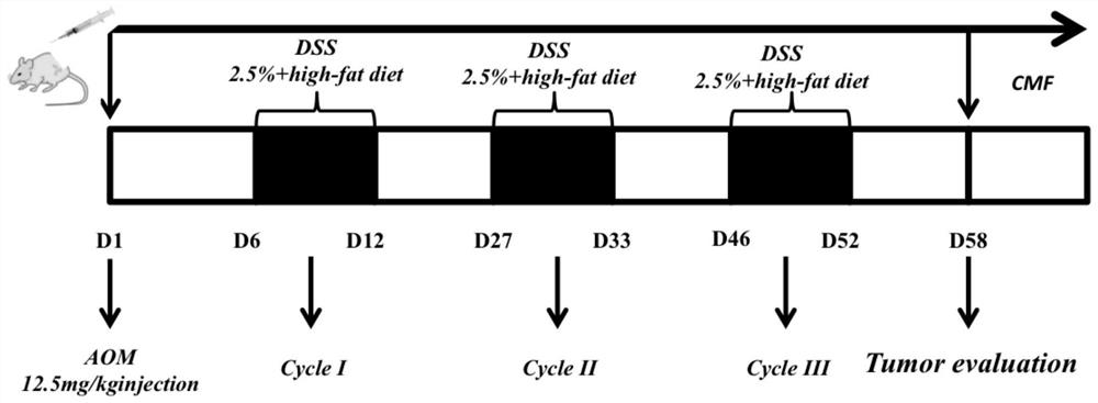 Traditional Chinese medicine composition for preventing and treating colorectal adenoma, and preparation method and application thereof