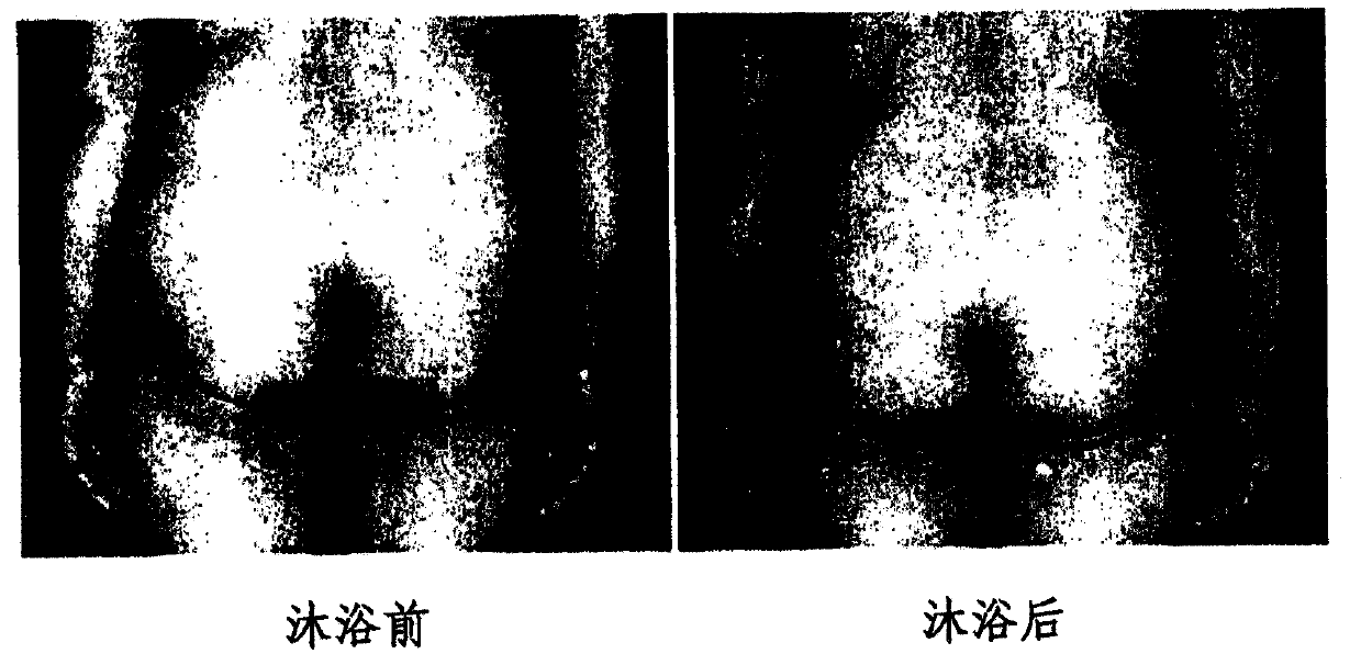 Bathing composition and method for preparing same