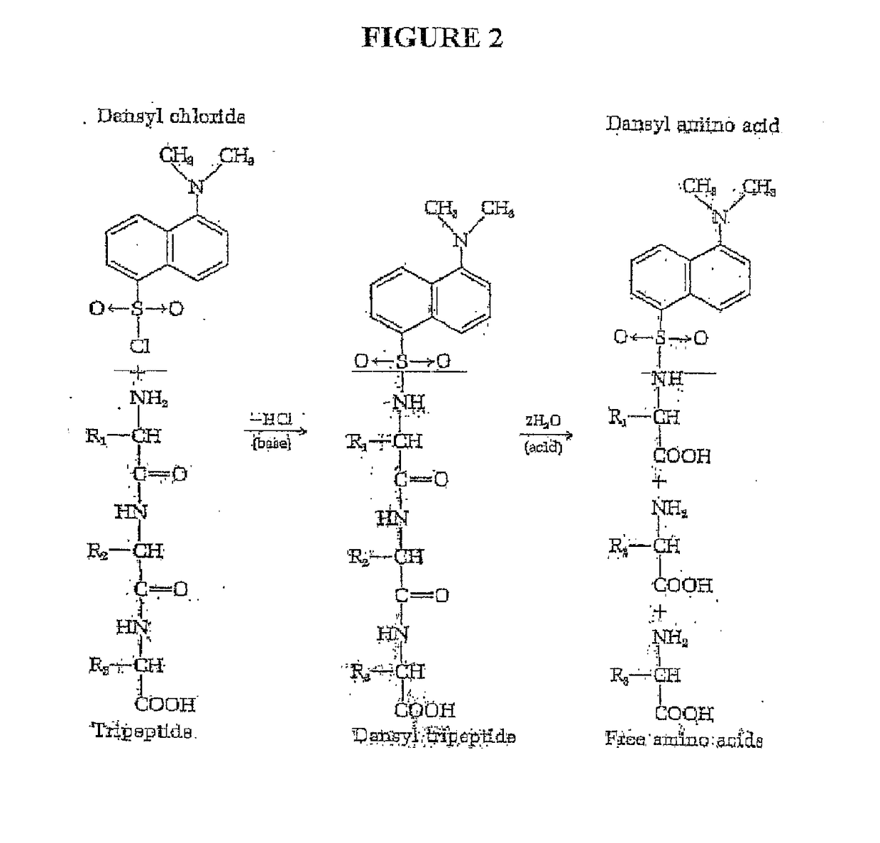 Single molecule peptide sequencing