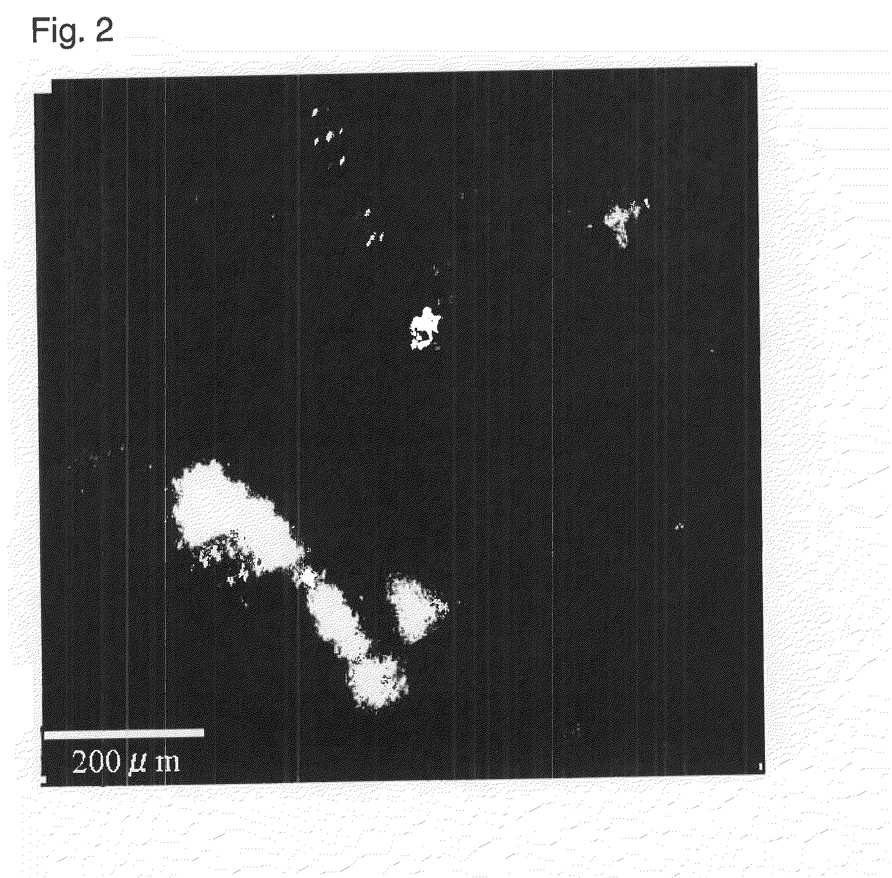 Fiber composite