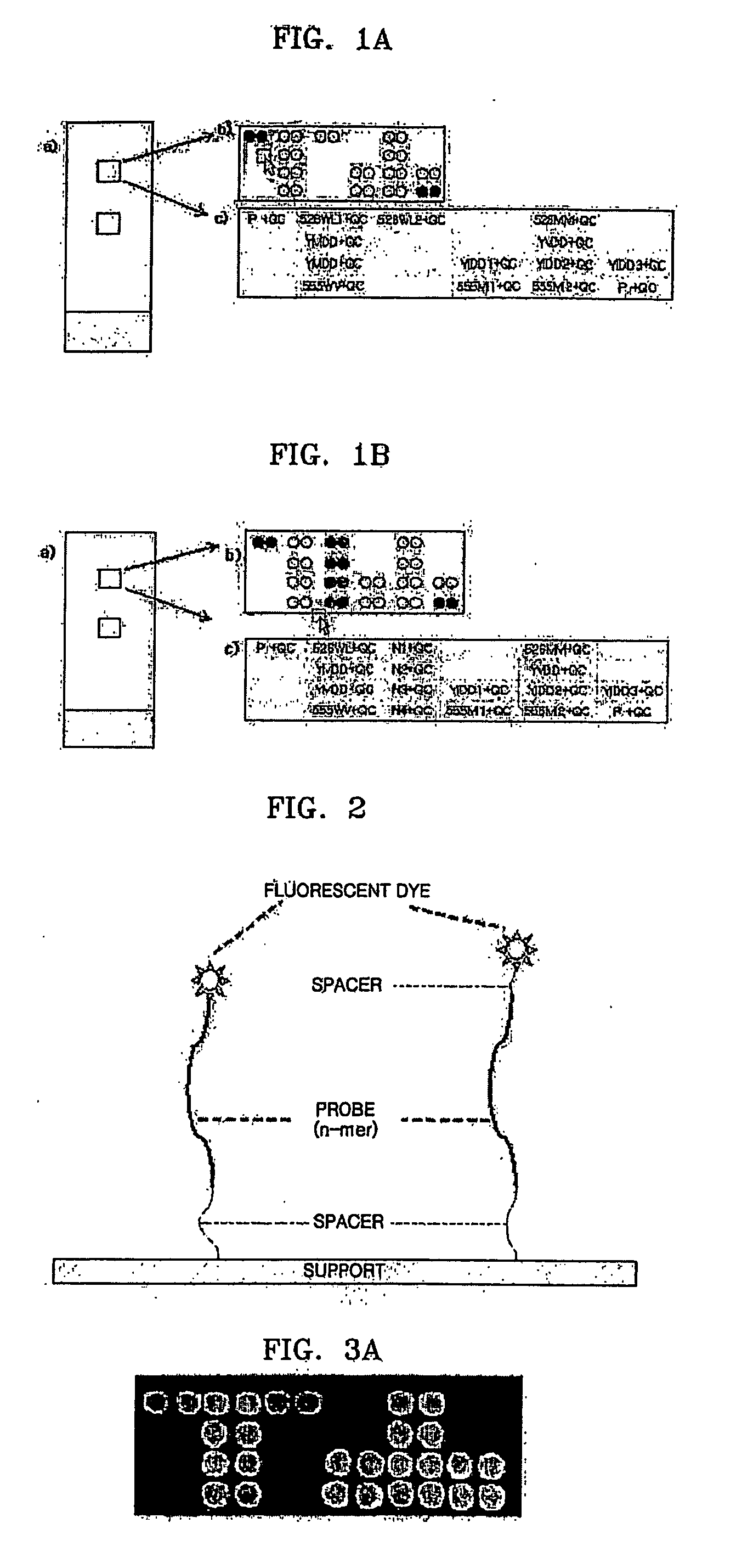 Microarray comprising probes for drug-resistant hepatitis b virus detection, quality control and negative control, and method for detecting drug-resistant hepatitis b virus using the same