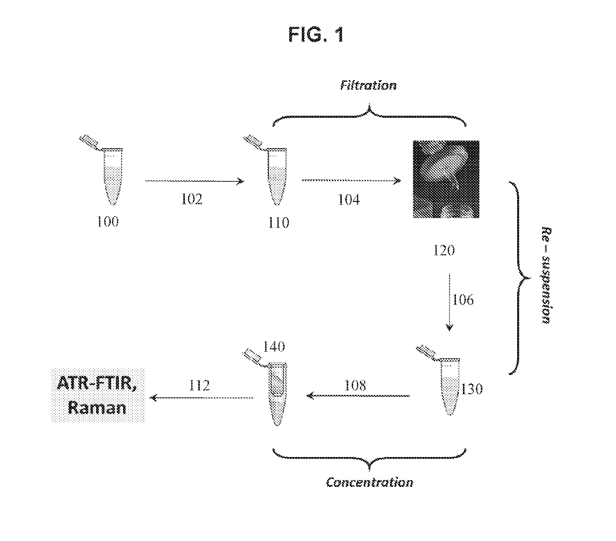 Spectroscopic systems and methods for the identification and quantification of pathogens