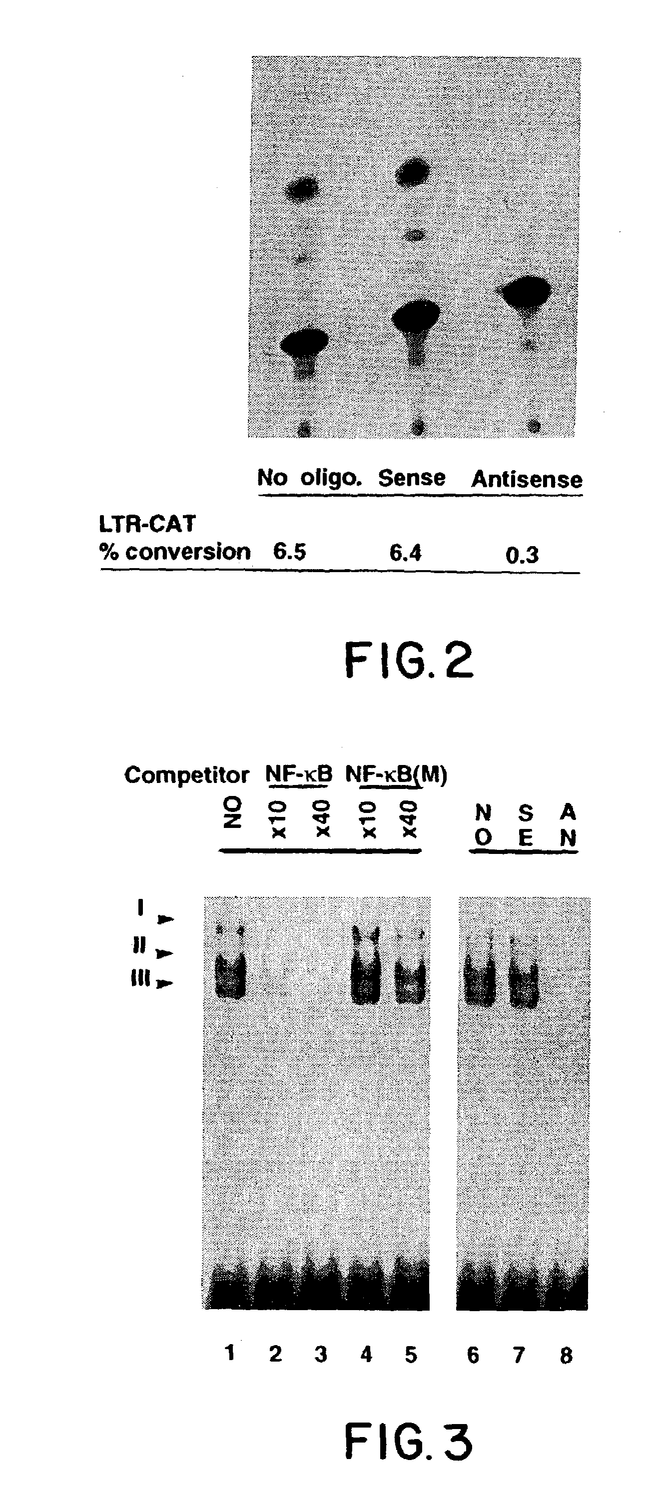 Suppression of nuclear factor-kappaB dependent processes using oligonucleotides