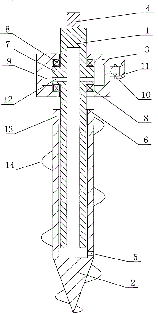 Efficient manual cistanche inoculation method and hollow drill for manual cistanche inoculation