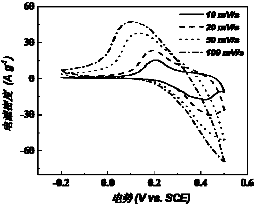 Carbon nano tube-cobalt tetrasulfide and nickel composite material, preparation method and application thereof