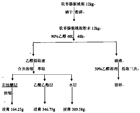 Actinidia arguta root extract, extraction and separation method and application of actinidia arguta root extract