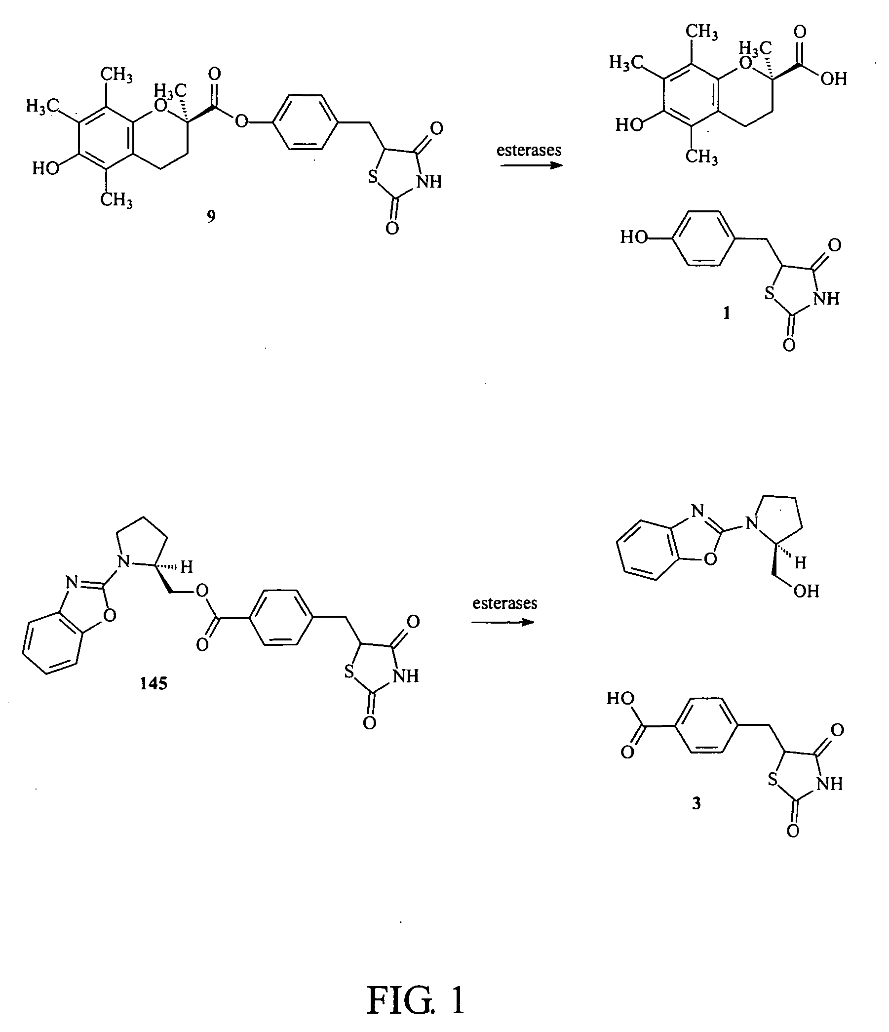 Materials and methods for the treatment of diabetes, hyperlipidemia, hypercholesterolemia, and atherosclerosis