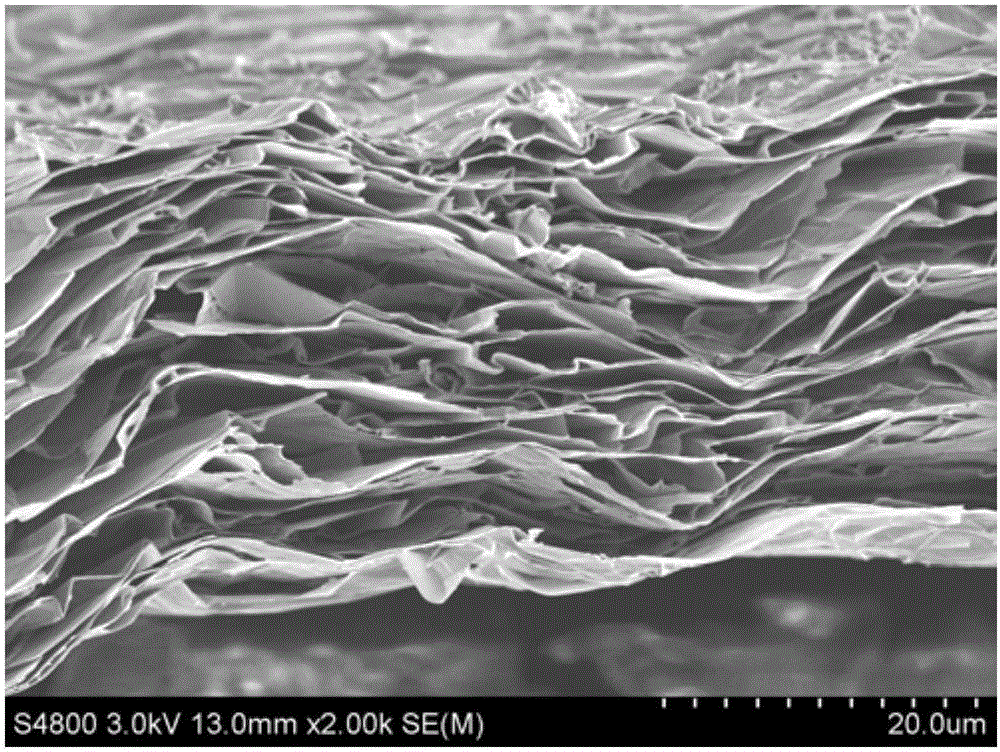 Pure graphene composite electromagnetic shielding film and method for preparing same