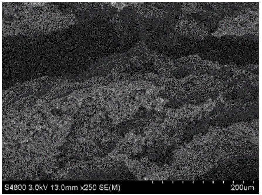 Pure graphene composite electromagnetic shielding film and method for preparing same