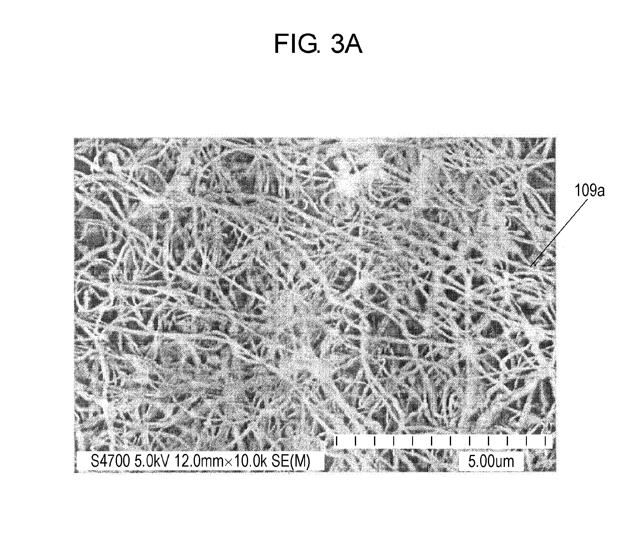 Diagnosis kit and method of using the same