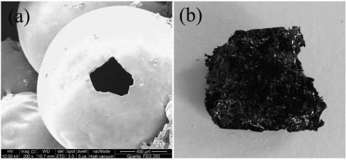 Method for preparing oriented porous structure of precursor conversion type ceramic