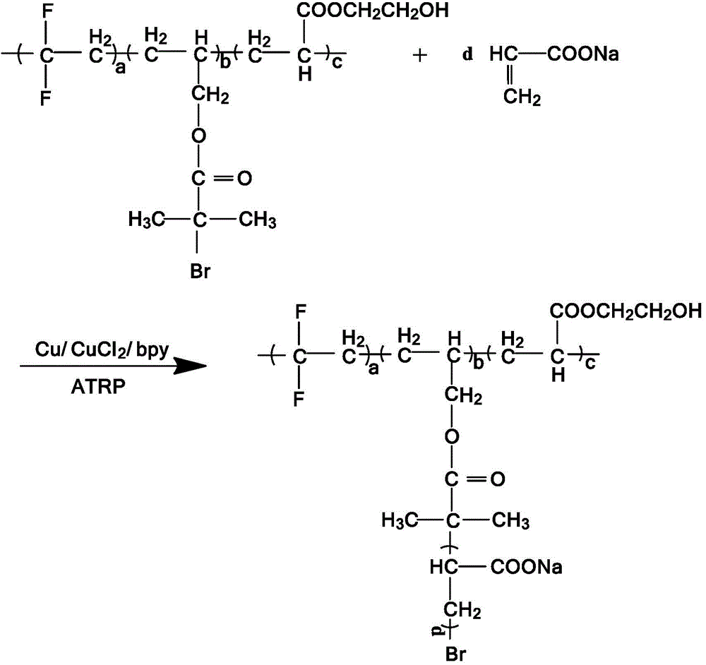 Anionic functionalized fluorine-containing polymer and preparation method thereof