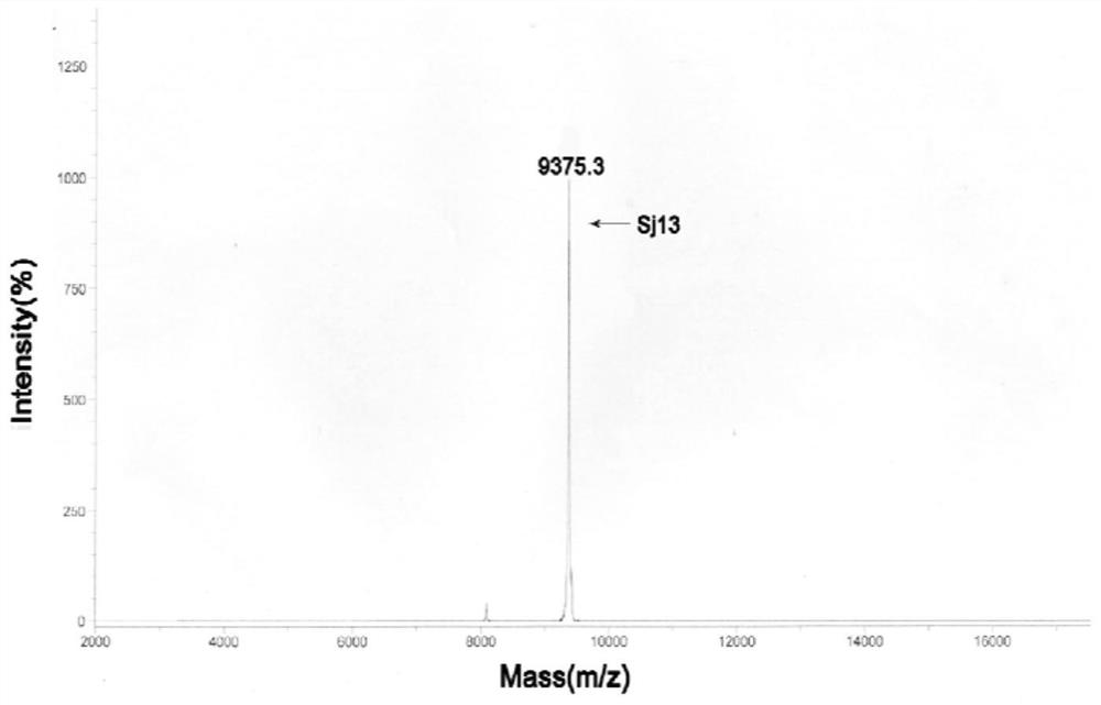 sj13 polypeptide and its application in the preparation of antithrombotic drugs