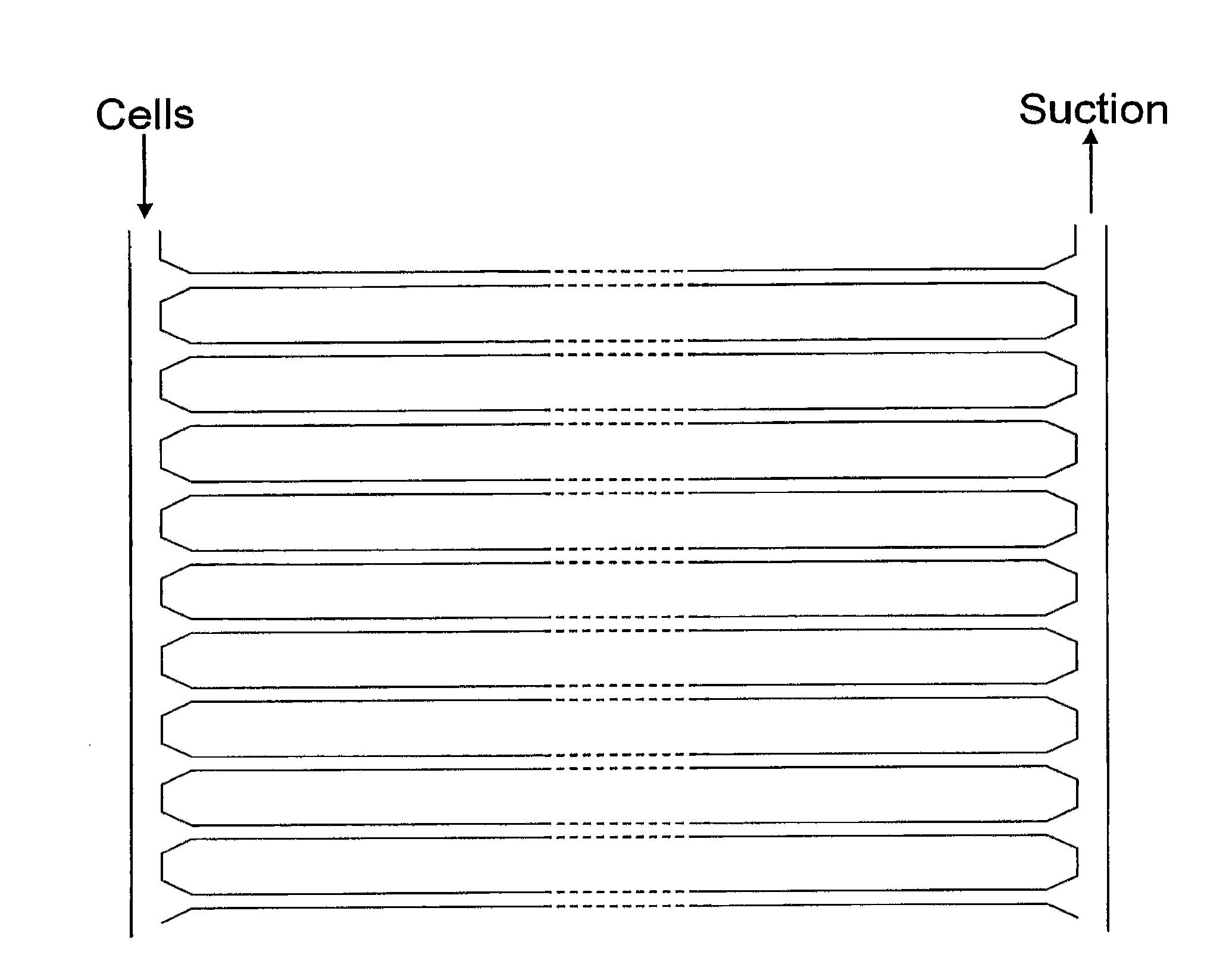 Devices and processes for analysing individual cells