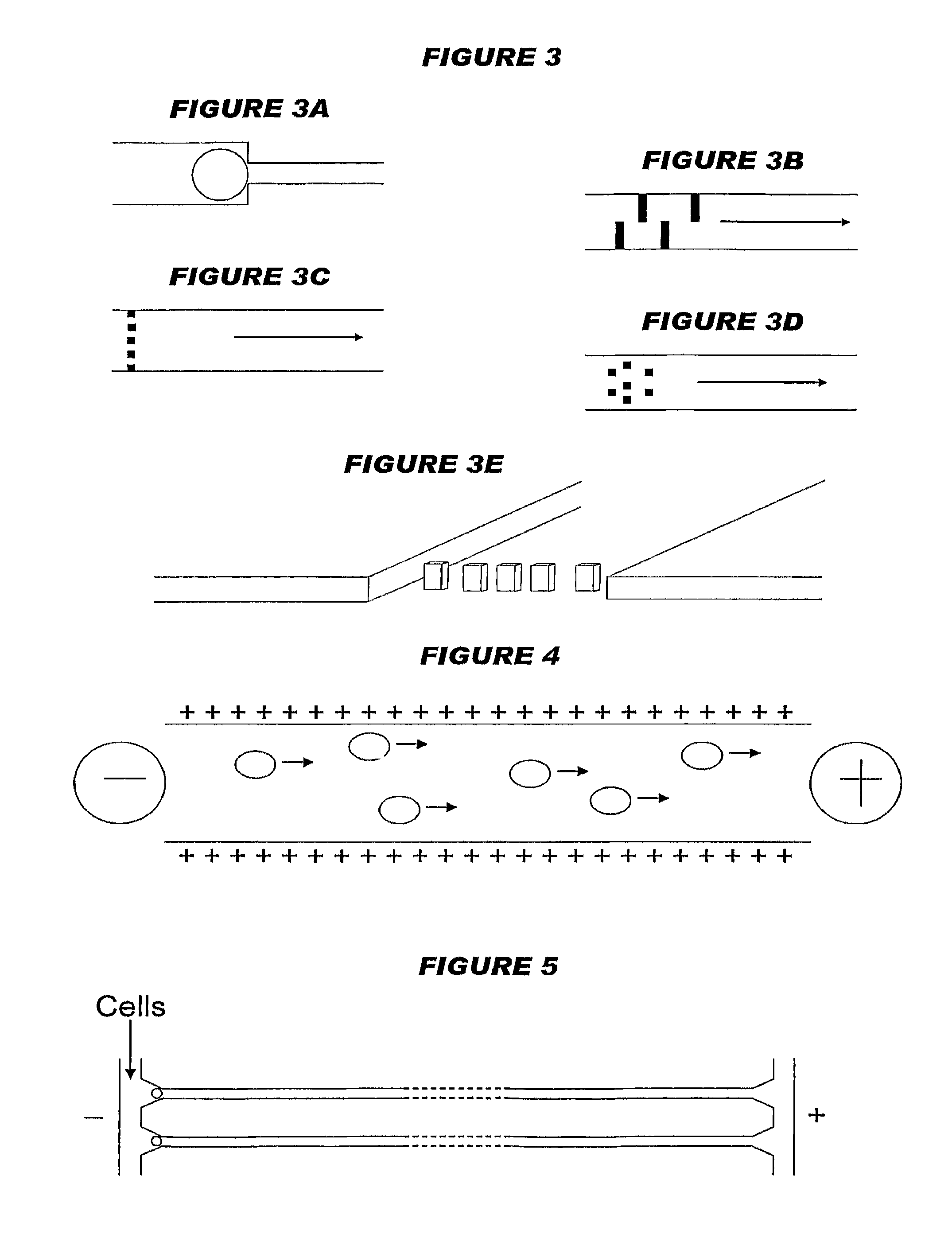 Devices and processes for analysing individual cells