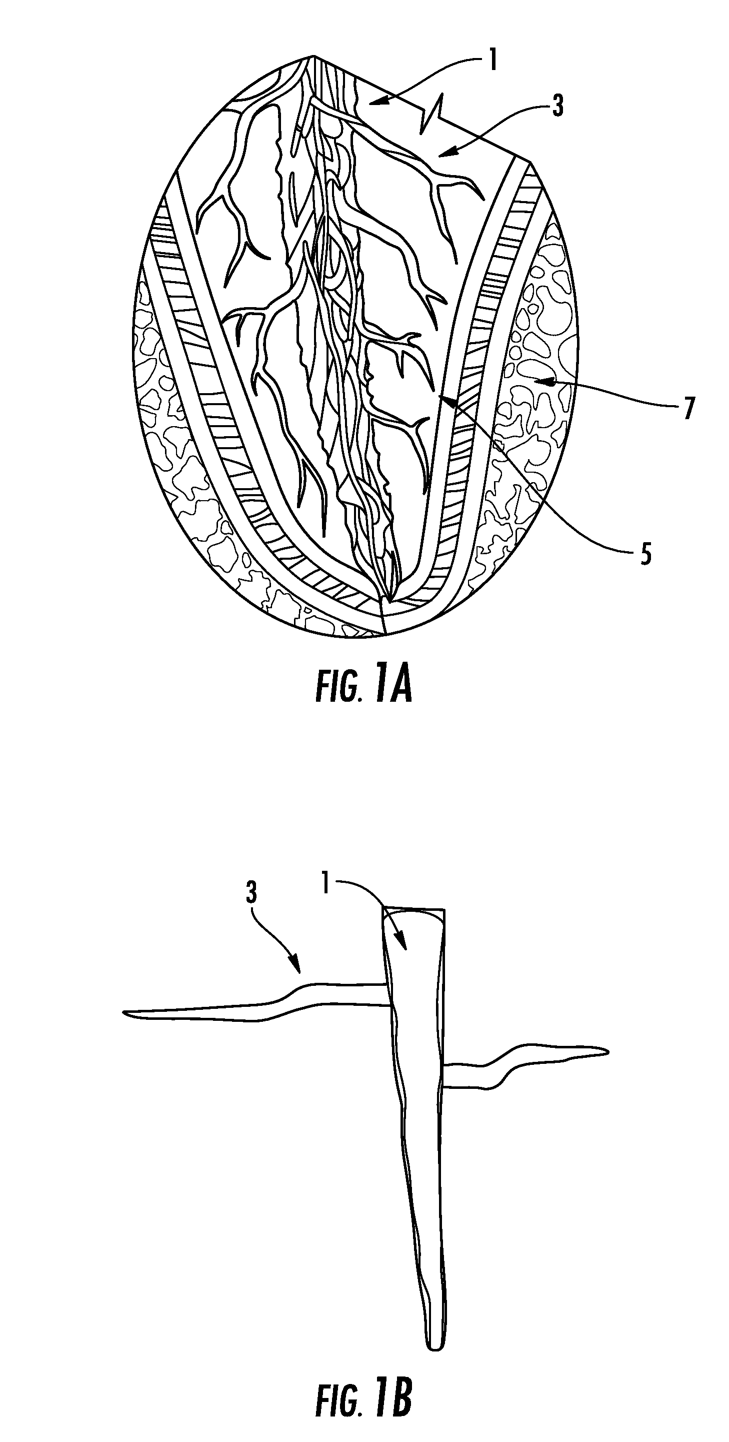 Dental and medical treatments and procedures