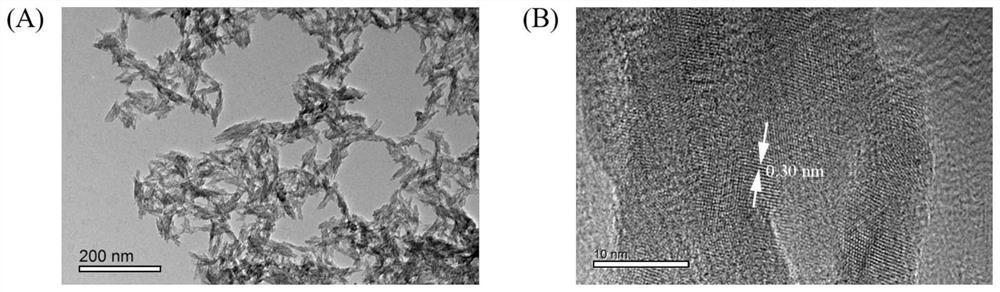 A method for synthesizing bimodal nano-hydroxyapatite using nucleic acid aptamer as a template