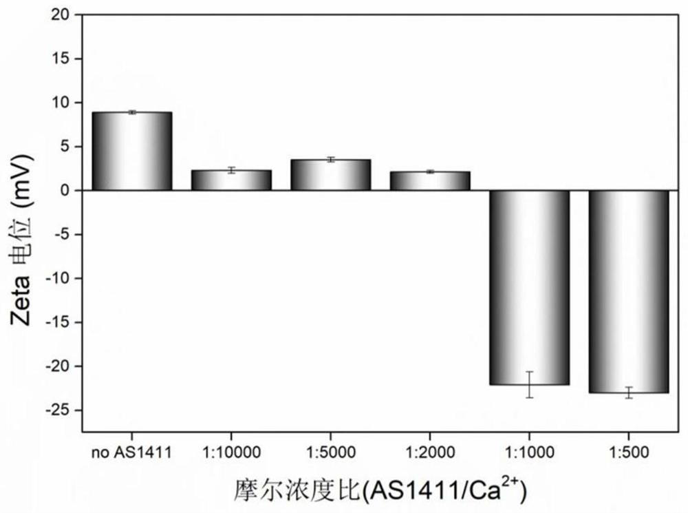 A method for synthesizing bimodal nano-hydroxyapatite using nucleic acid aptamer as a template