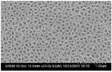 A kind of photocatalytic ceramsite and its preparation method and application