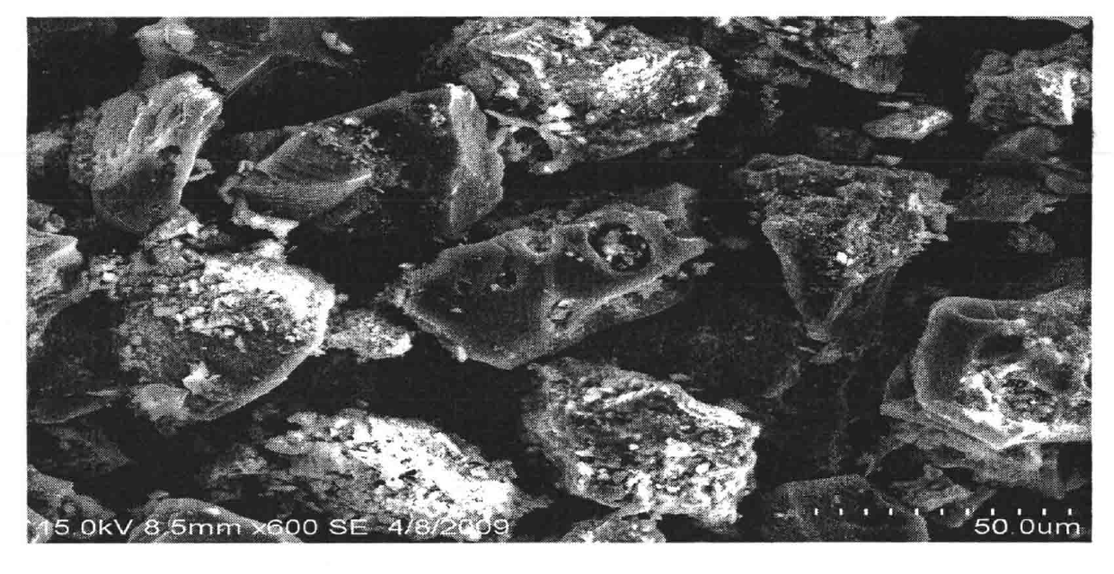 Method for preparing active carbon with high acid group content by mixing excess sludge and corn cobs