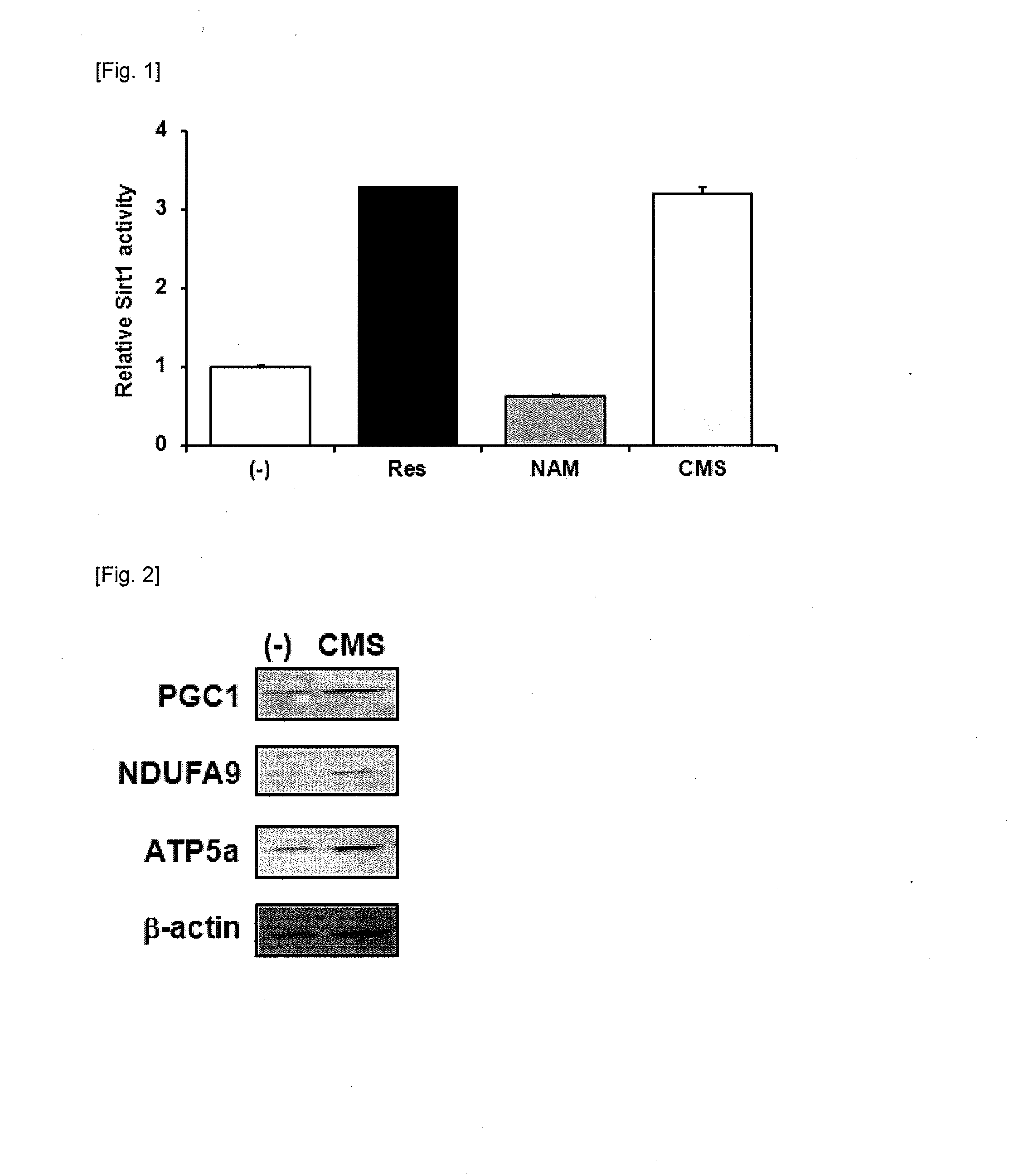 Composition comprising coumestrol or a bean extract containing coumestrol