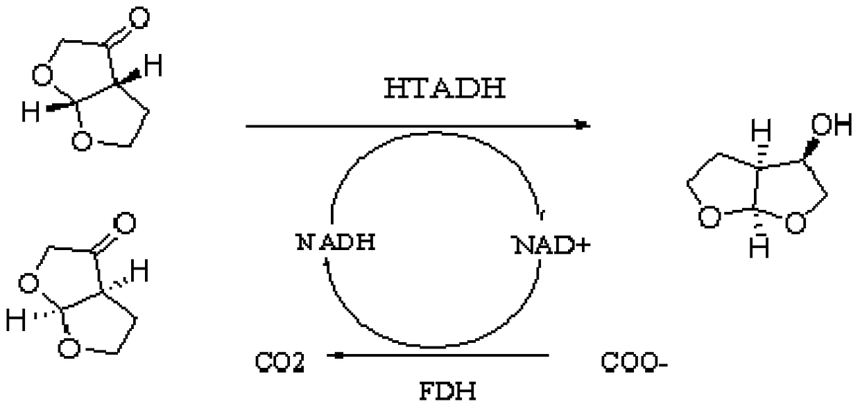 Alcohol dehydrogenase mutant and its application