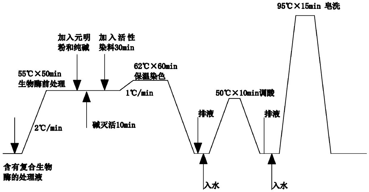 Enzyme dyeing one-bath dyeing process for cotton fabric