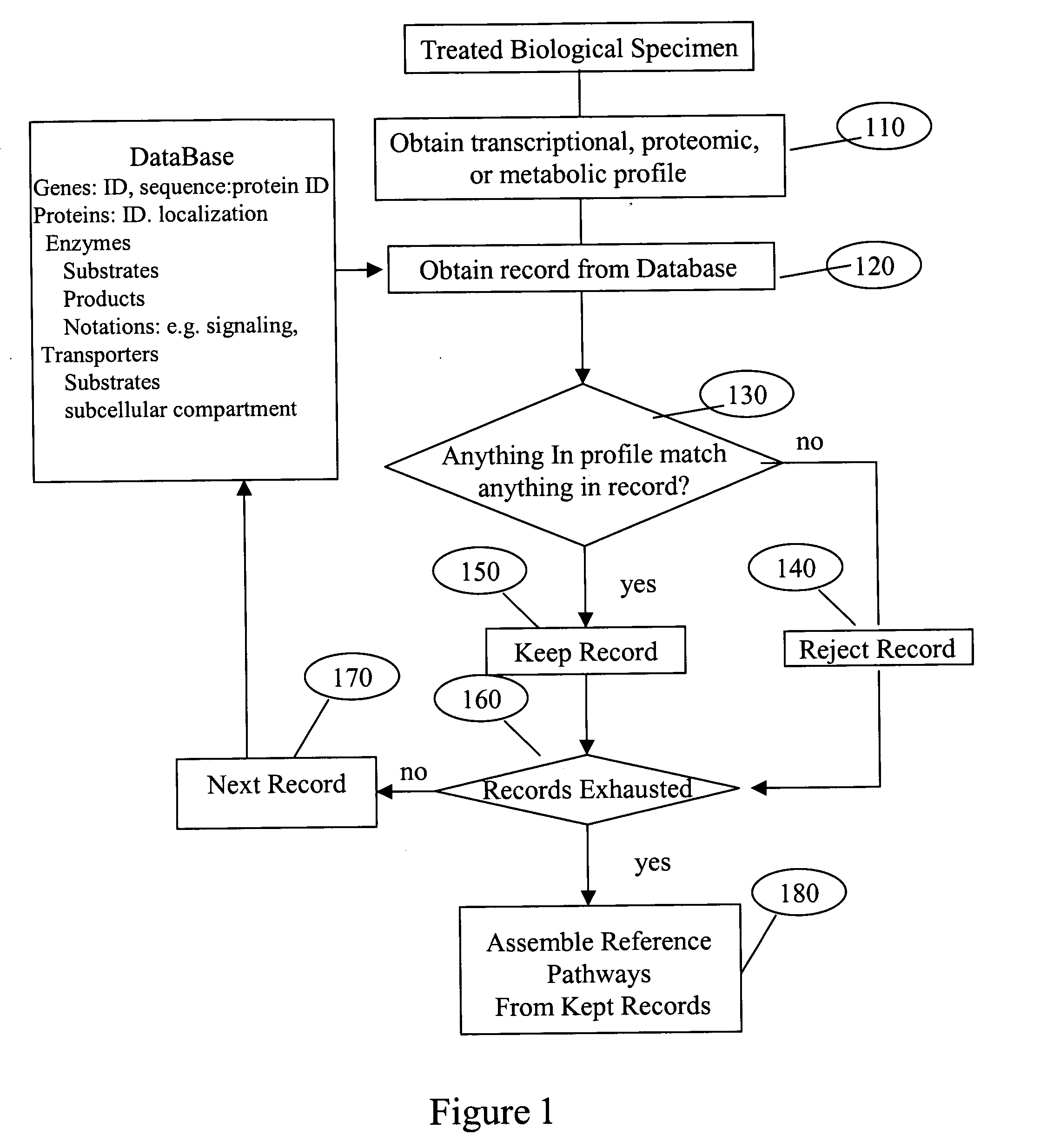 System and process of determining a biological pathway based on a treatment of a biological specimen