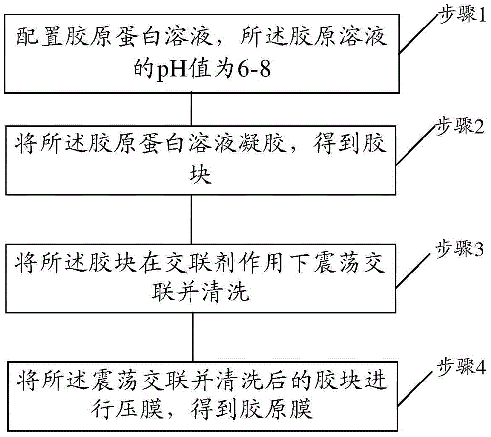 Preparation method of collagen membrane and collagen membrane thereof