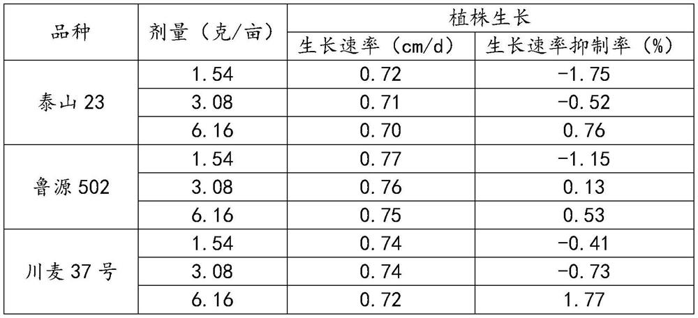 Insecticide taking thiamethoxam and lambda-cyhalothrin compound as active component and application thereof