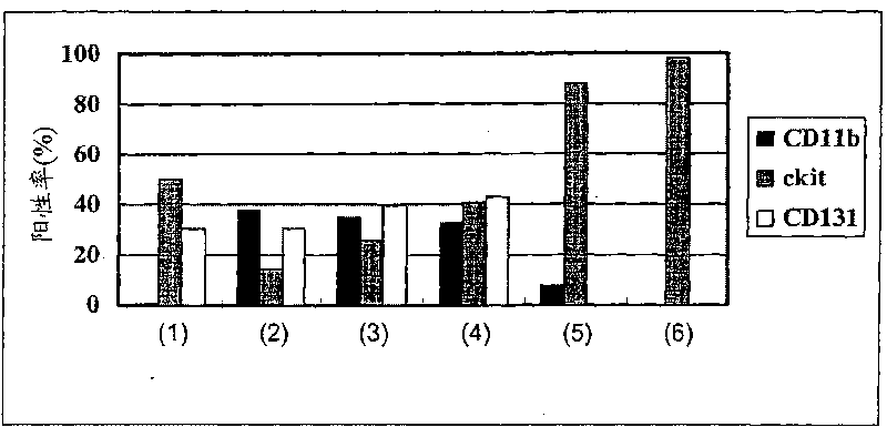 Method for production of dendritic cell