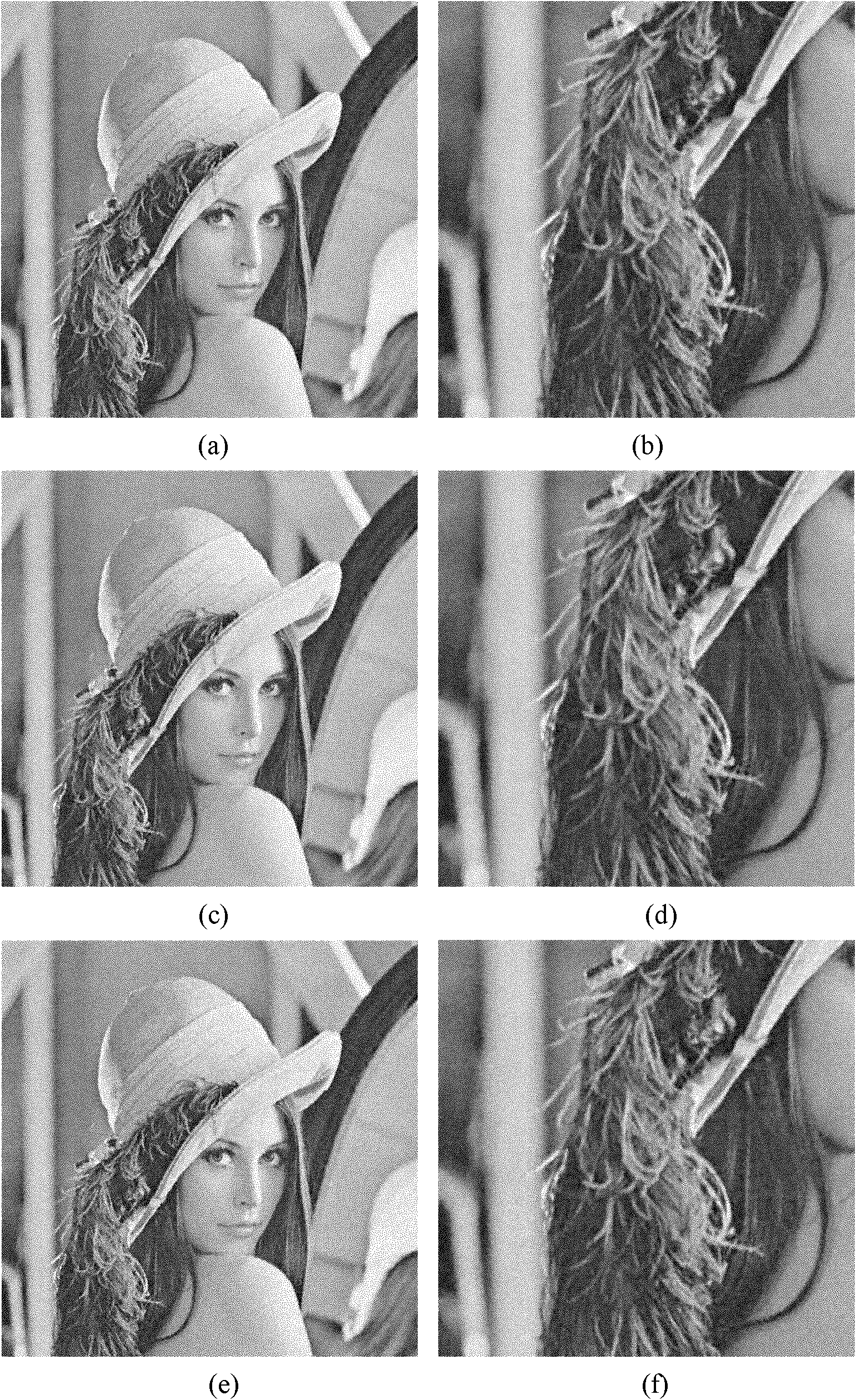 Method for constructing sparse representation redundant dictionary based on ridgelet frame