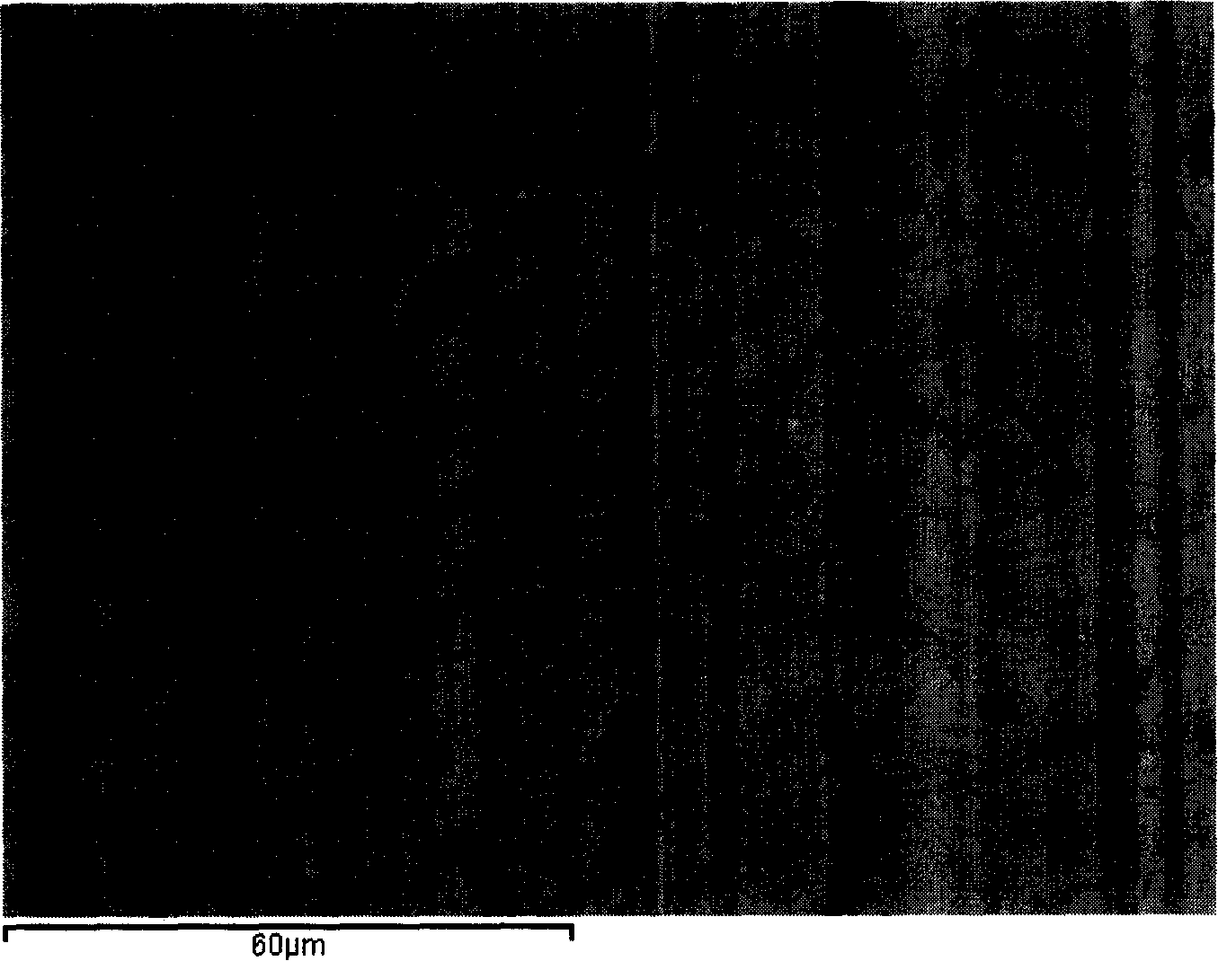 Austenitic antibiotic stainless steel and method for manufacturing same