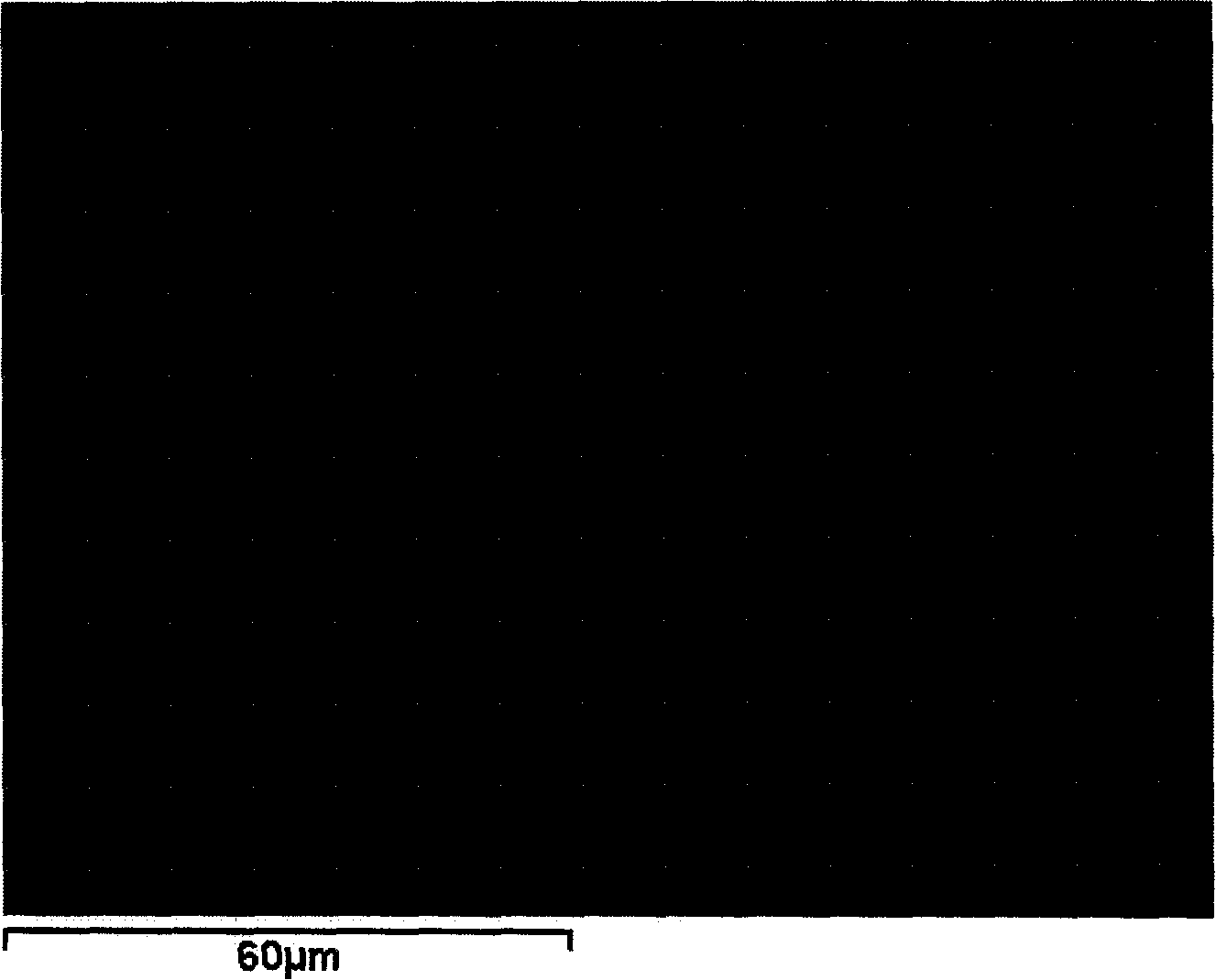 Austenitic antibiotic stainless steel and method for manufacturing same