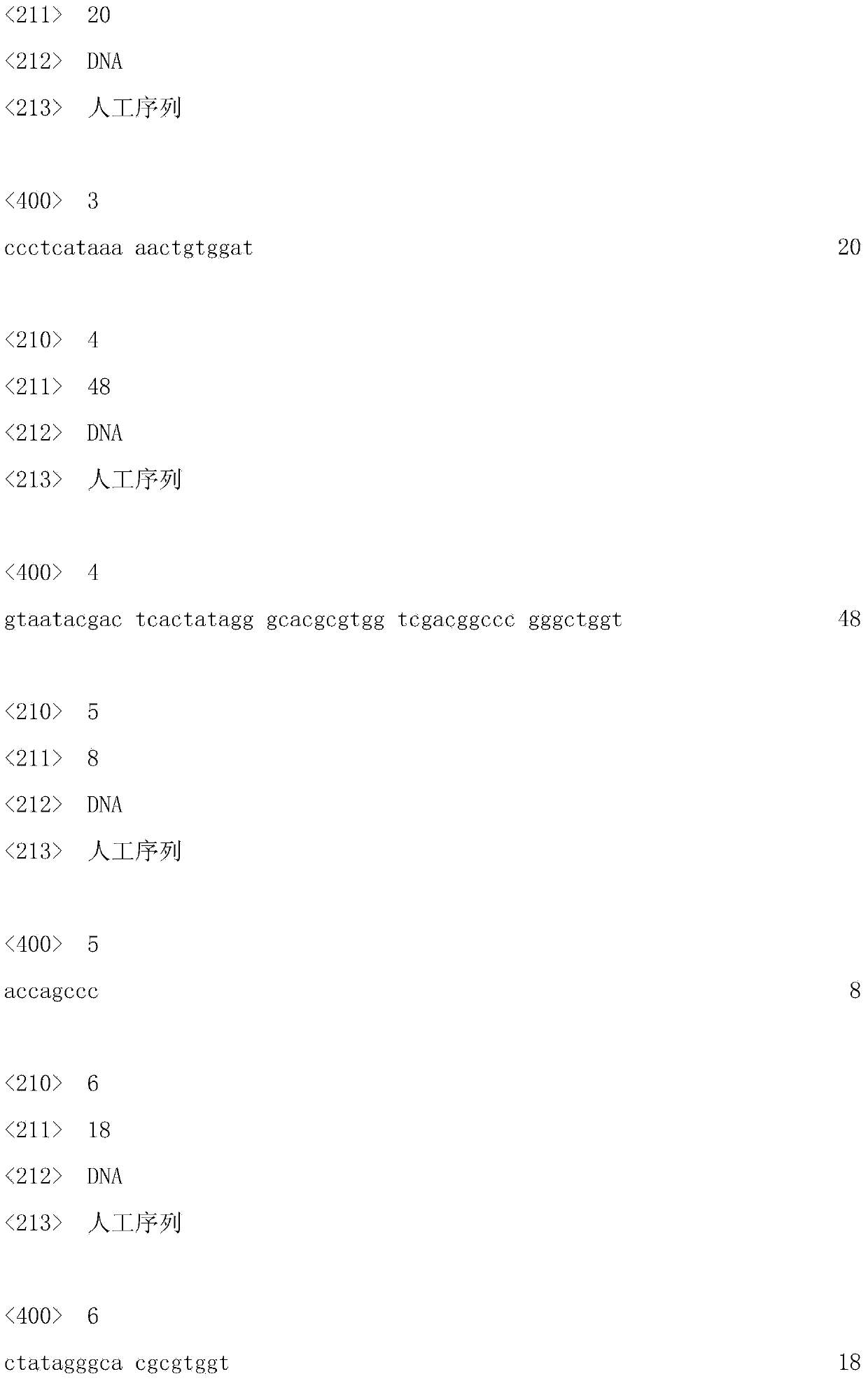 Primer pair, castanopsis hystrix SSR8 (Simple Sequence Repeat 8) marker and preparation method and application thereof