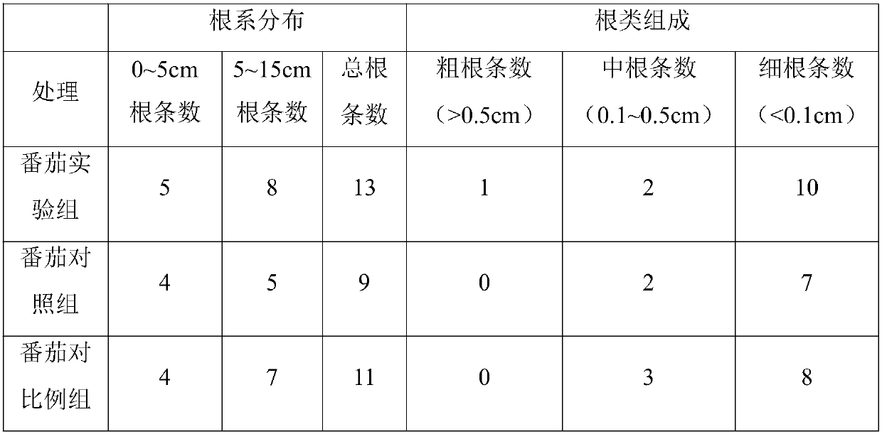 Liquid fertilizer for promoting rooting and seedling strengthening of tomatoes and preparation method of liquid fertilizer