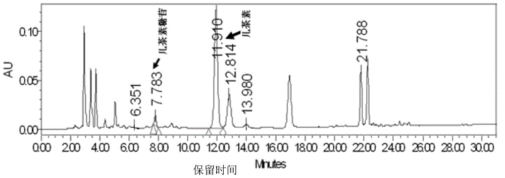 Fermentation tea juice and preparation method thereof