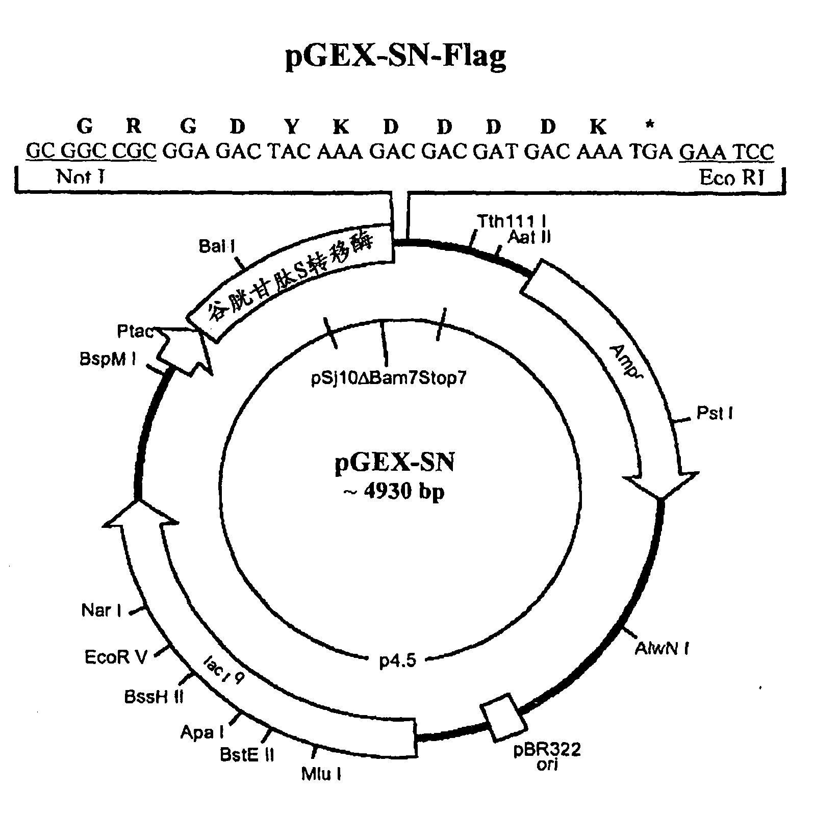 Recombinant antigens of human cytomegalovirus (HCMV)