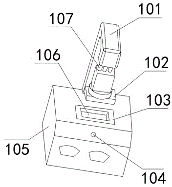 Leakage detection device for two-layer vacuum soft bags