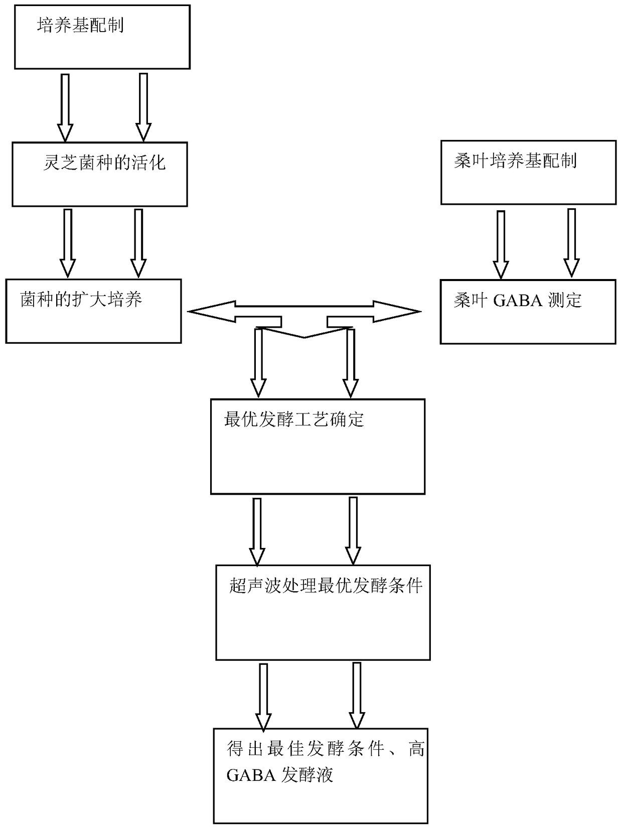 A method for enriching GABA in mulberry leaves