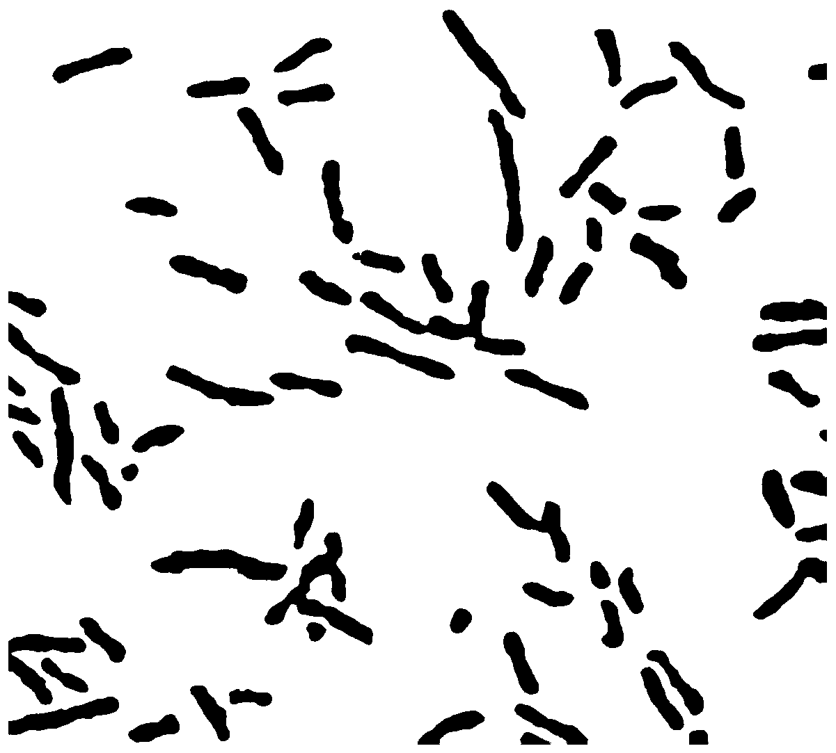 A novel Sphingosine strain and its application in the field of microcystin degradation and detoxification