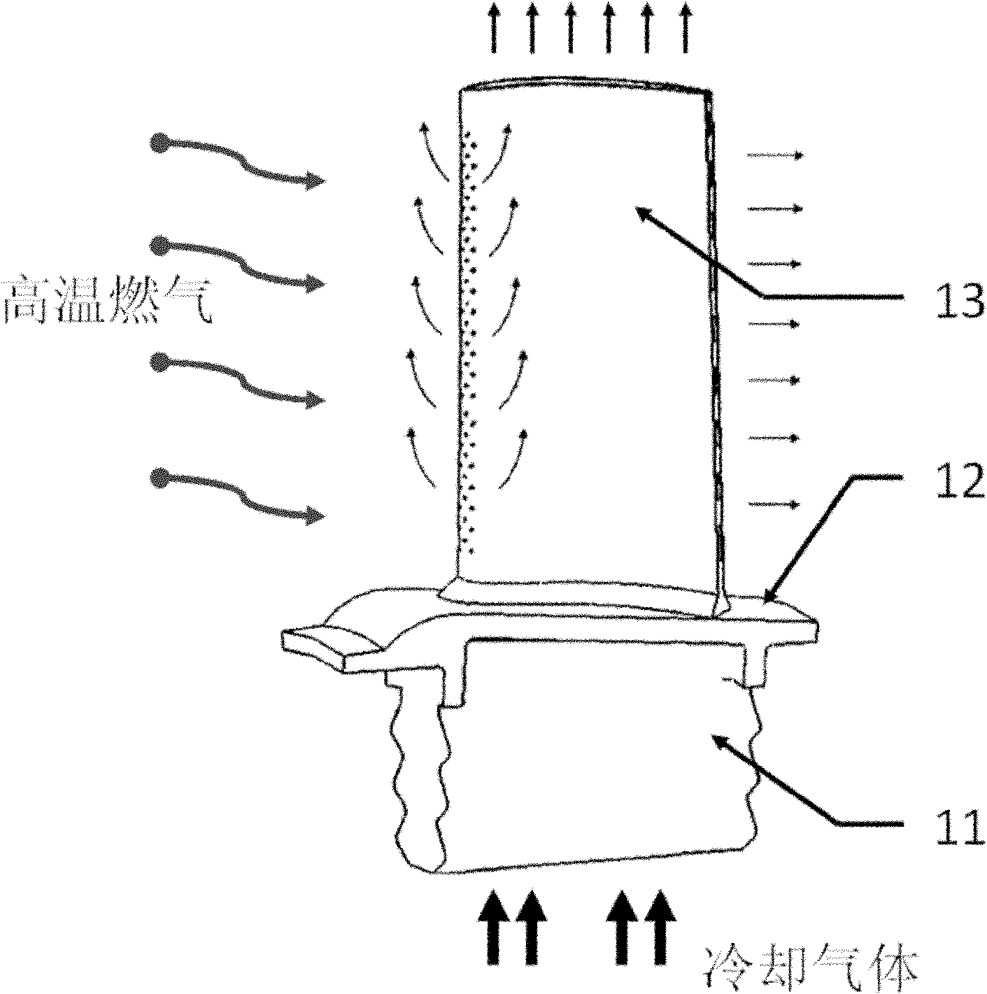 Turbine rotor blade of gas turbine