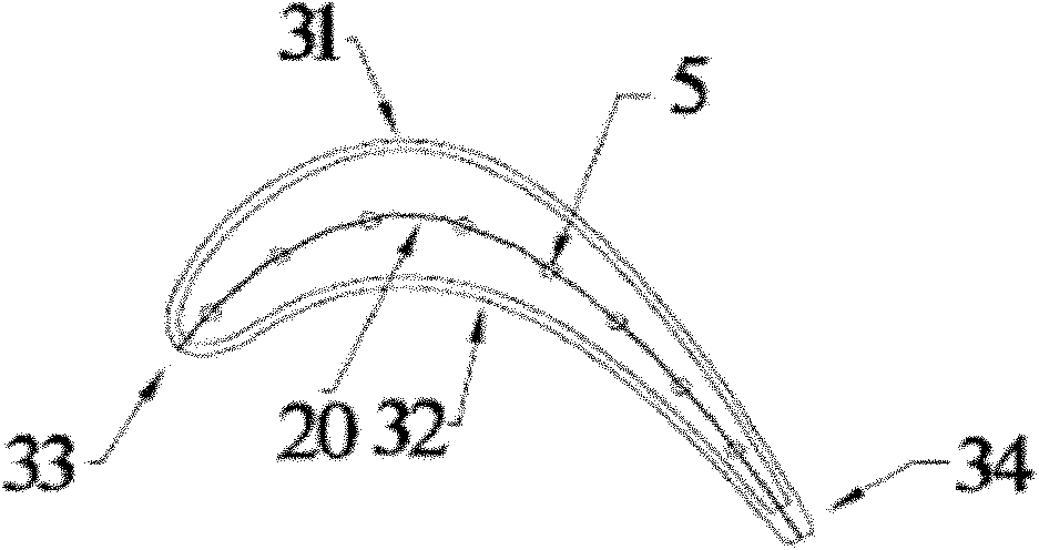 Turbine rotor blade of gas turbine