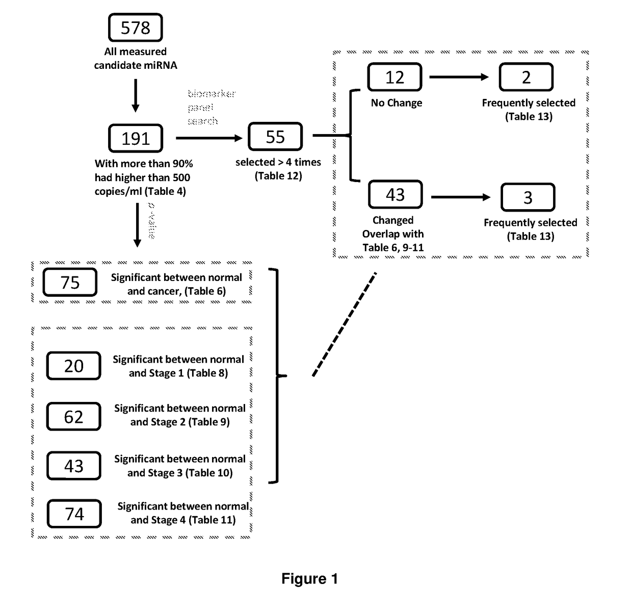 MicroRNA Biomarker for the Diagnosis of Gastric Cancer