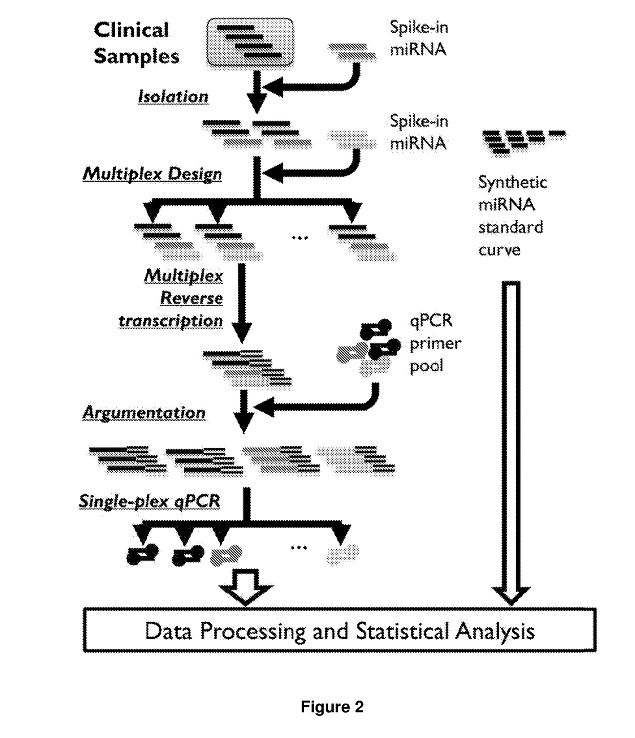 MicroRNA Biomarker for the Diagnosis of Gastric Cancer